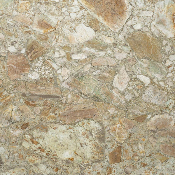 Naurika quartzite slab with cream and bronze mineral pattern